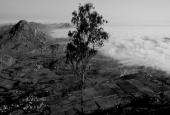IIP Online Student Photography